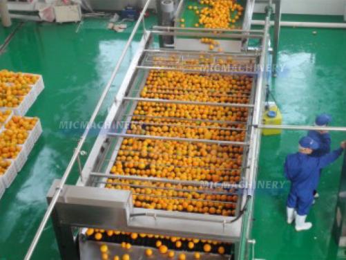 Orange Lemon Pomelo Citrus Juice Extractor Equipment
