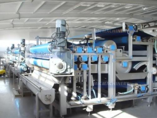 Pear Apple Juice Processing Machine