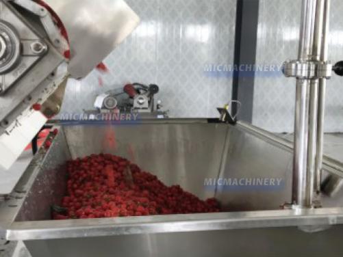 Berry Juice Making System