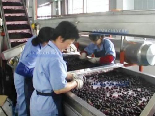 Berry Juice Making System