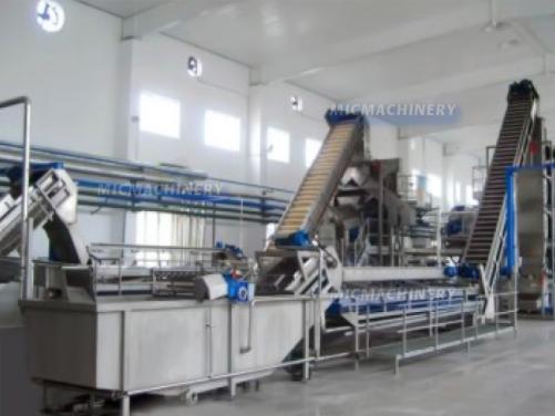 Berry Juice Making System