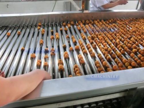 Peach Plum Apricot Stone Fruit Project