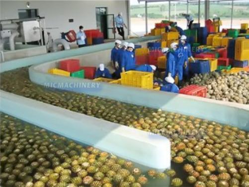 Tropical Fruit Juice Processing Machine