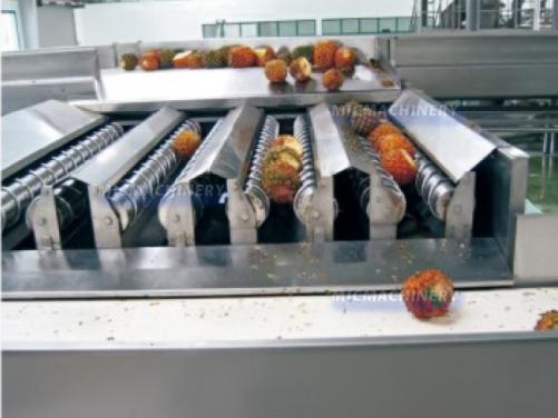 Tropical Fruit Juice Processing Machine