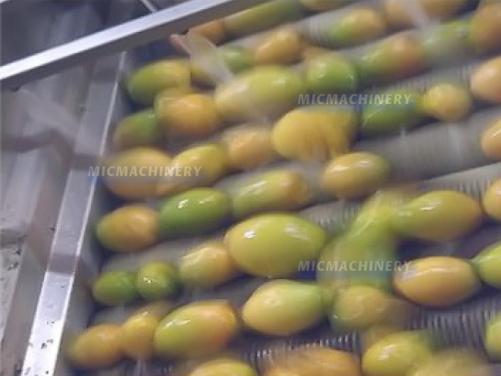 Tropical Fruit Juice Processing Machine