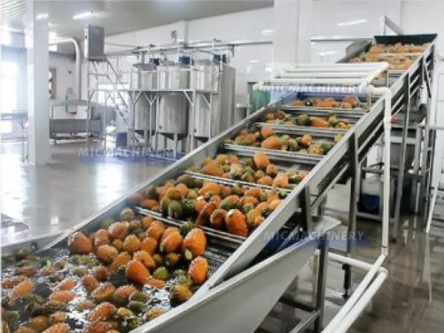 Tropical Fruit Juice Processing Machine