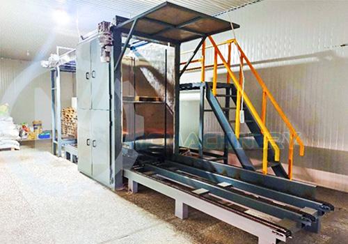 Palletizer And Depalletizer
