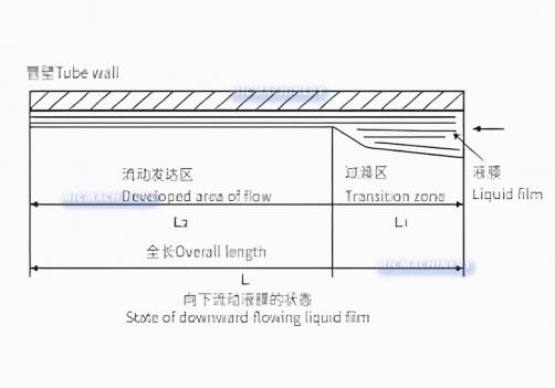 Falling Film Evaporator