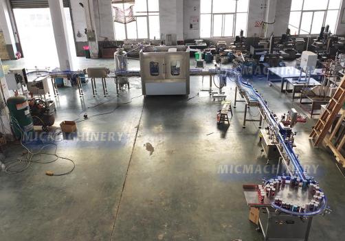 MIC 12-1 Beer Canning Line