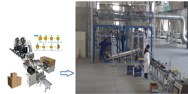 ZX450 Automatic Carton Filling Line| China
