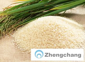Rice processing engineering
