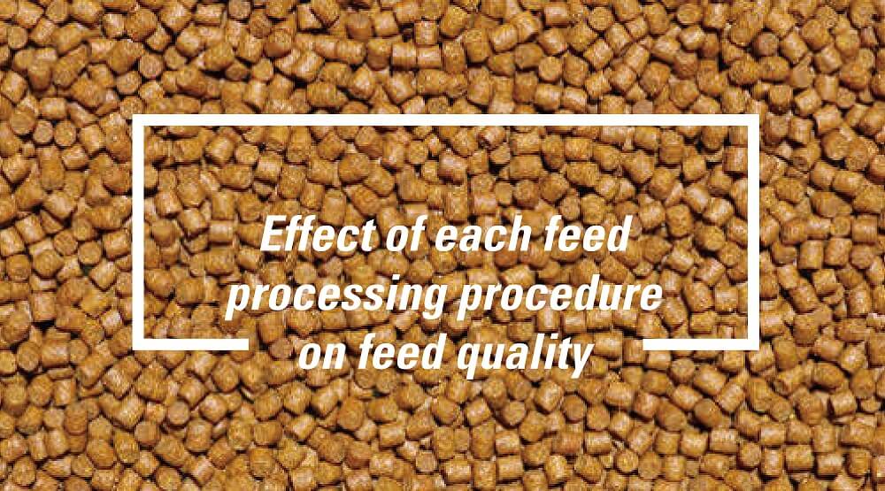 Effect of each feed processing procedure on feed quality