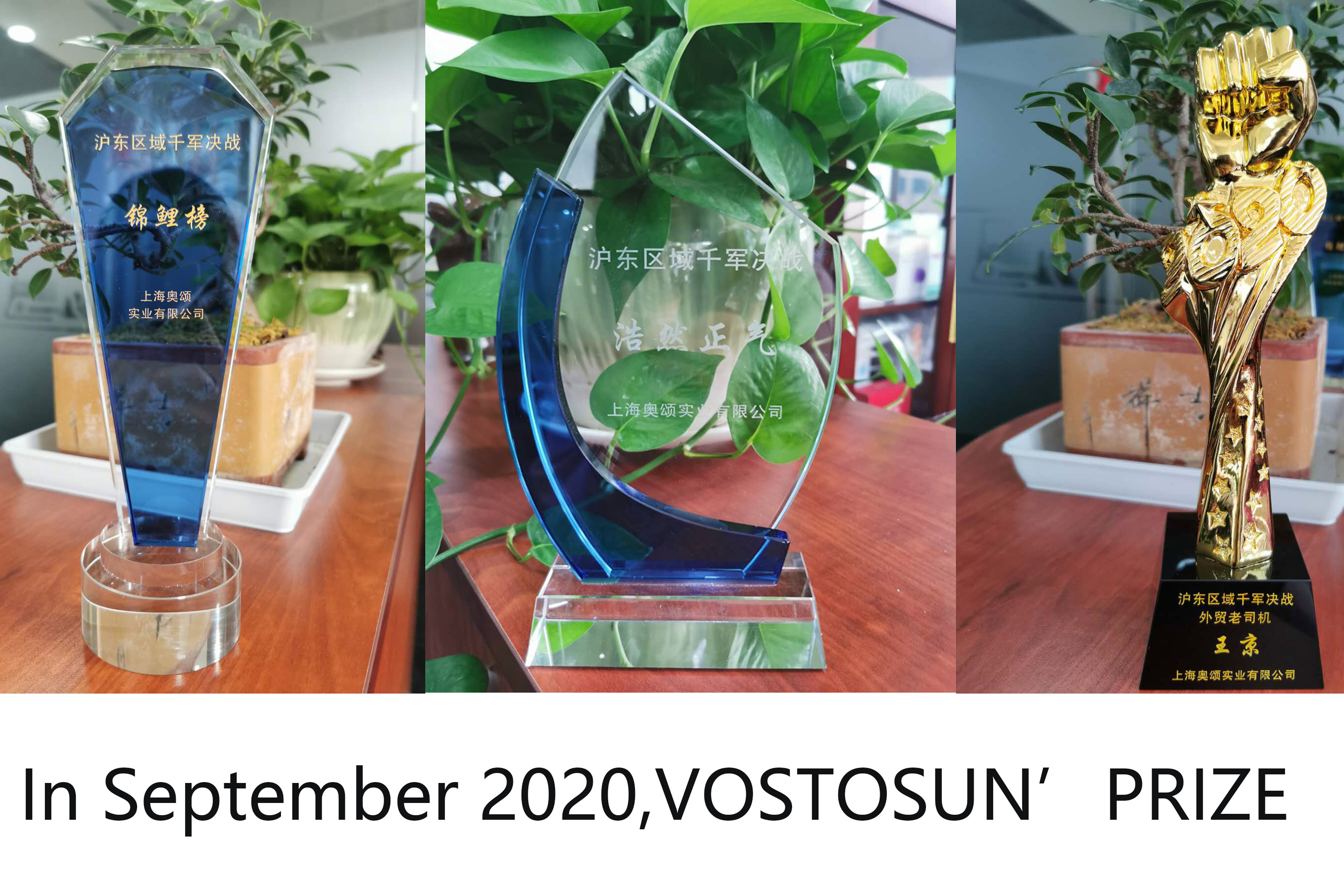 In September 2020, Vostosun achieved good results in the Alibaba Sourcing Festival.