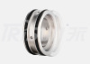 TB FM03 for Fristam Pump