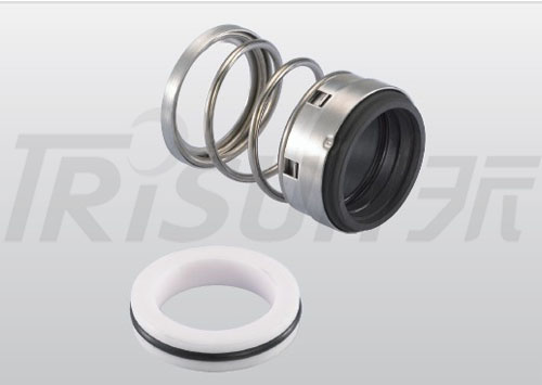 TS 580B Single-Spring Mechanical Seal Replace AESSEAL (replace CRANE 1（EURO）)