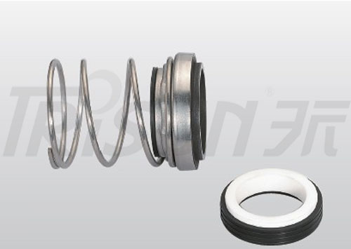 TS 166T Single-Spring Mechanical Seal Replace AESSEAL (replace FLOWSERVE 21)