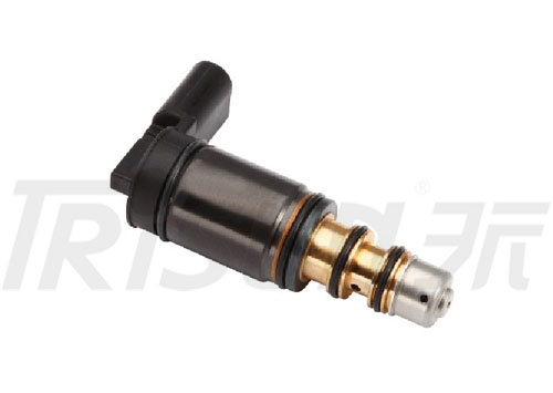 TSECV10 Control Valve