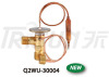 Q2WU-30004 Expansion Valve