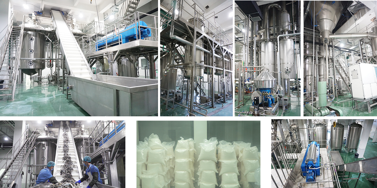 Collagen  protein production line