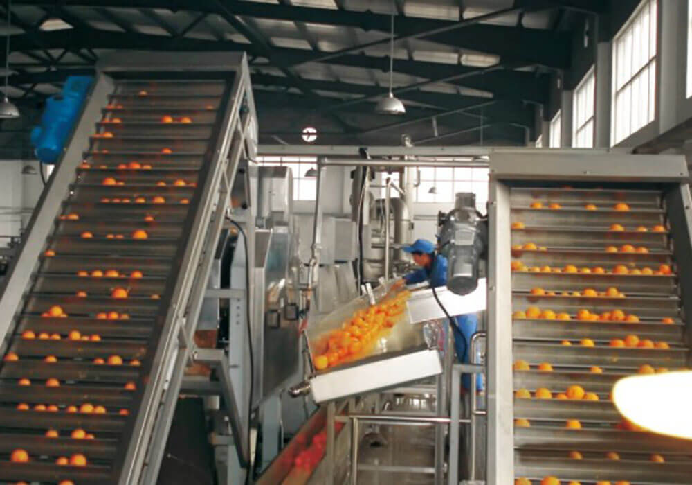 Citrus Fruit Processing Line