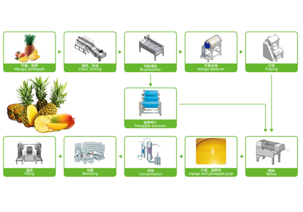 Mango Pineapple Fruit Processing Line