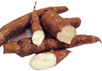 Cassava Starch Processing Line