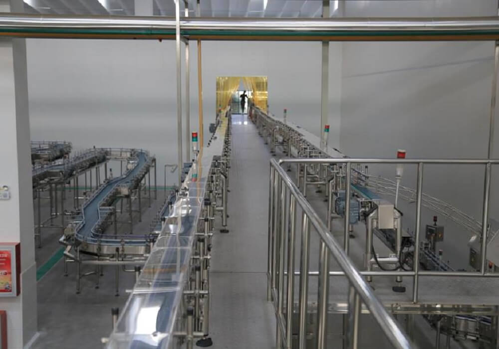 Experienced supplier of 2、Conveying lines