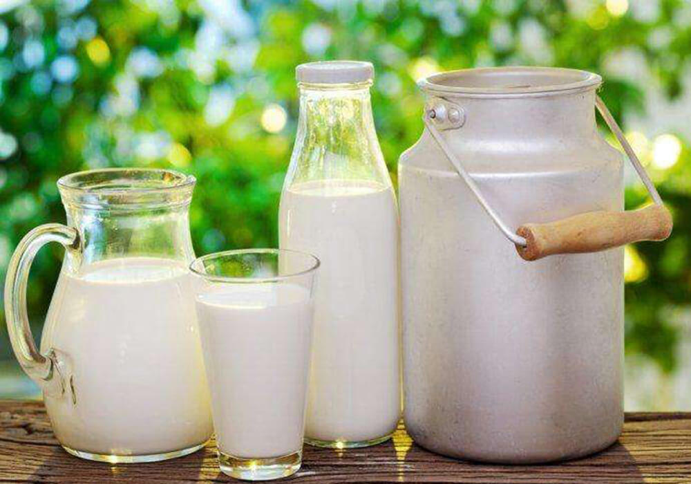 Pasteurized Milk Production Line
