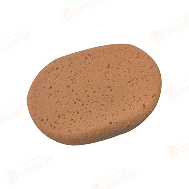 Sponge FL019