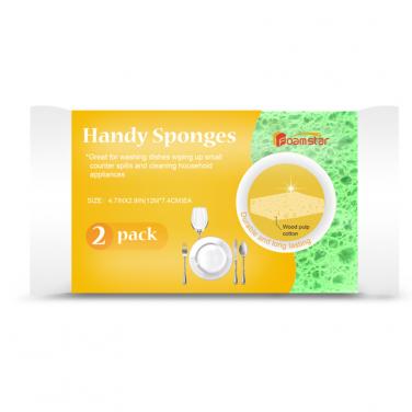 FSW013 Non scratch sponges