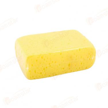 Large Professional Sponge FL008