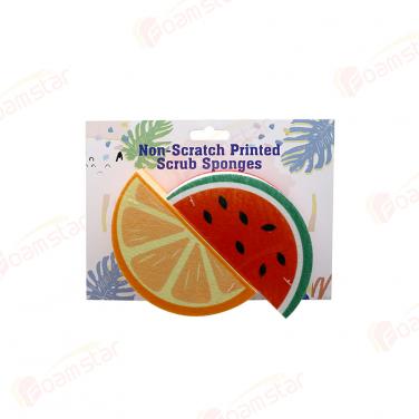 Non-Scratch Fruit Sponge Set FK204