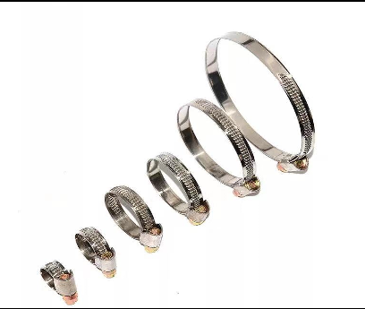 German Style Stainless Steel clamp