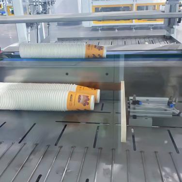 One in One Out Intelligent Packing Machine