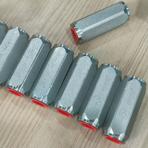 Straight Cast Steel One-way Check Valve