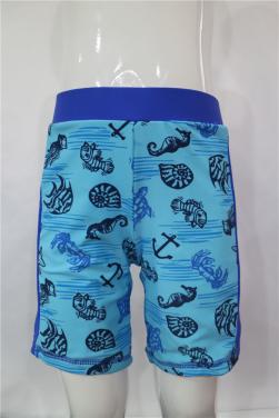 Boys' Printed&Solider  Swimming Shorts-HM21KS154