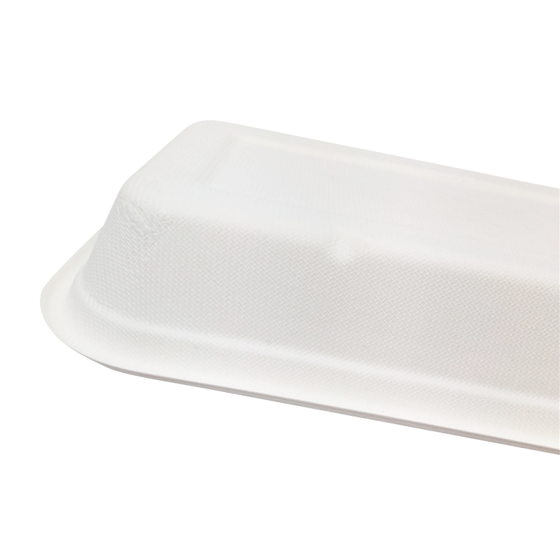 1000ml 2-comp Clamshell Biodegradable Food Container Bagasse Tableware