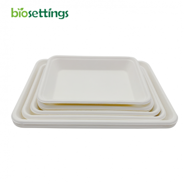 PFAS Free Party Tableware Supplier Small/Large Tray&Lid Custom Bodegradable Sugarcane Bagasse Lunch Food Tray