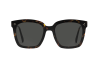 Acetate Sunglasses