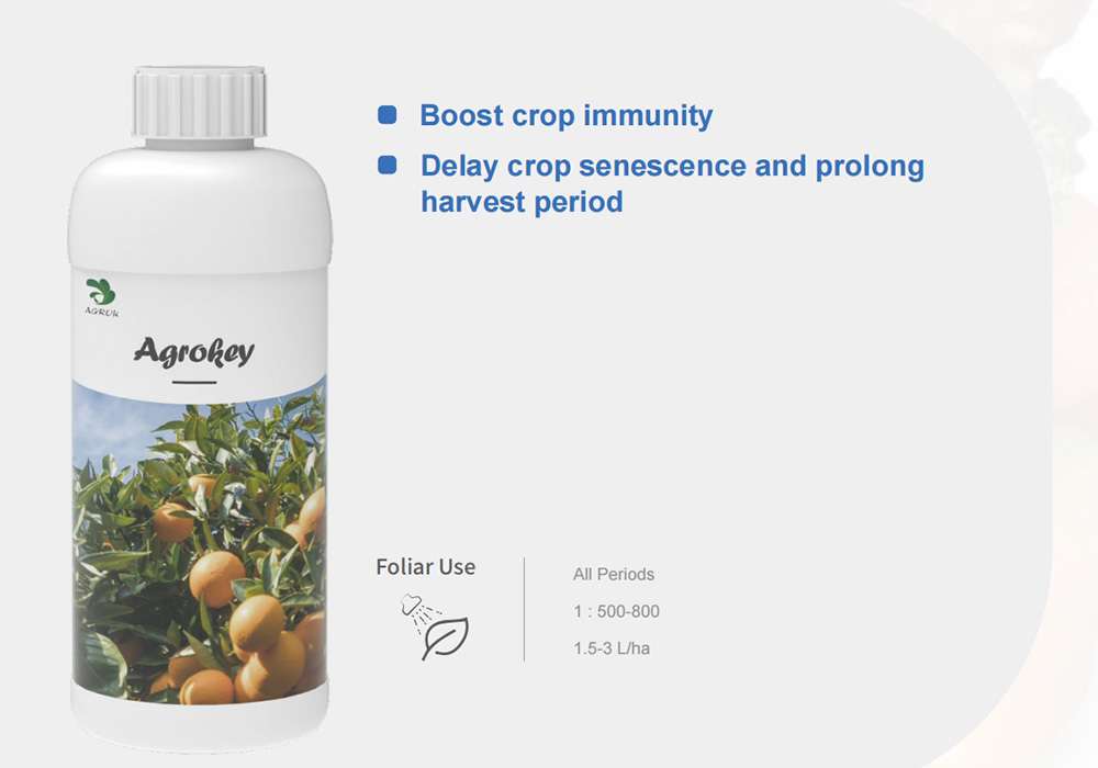 AGROKEY