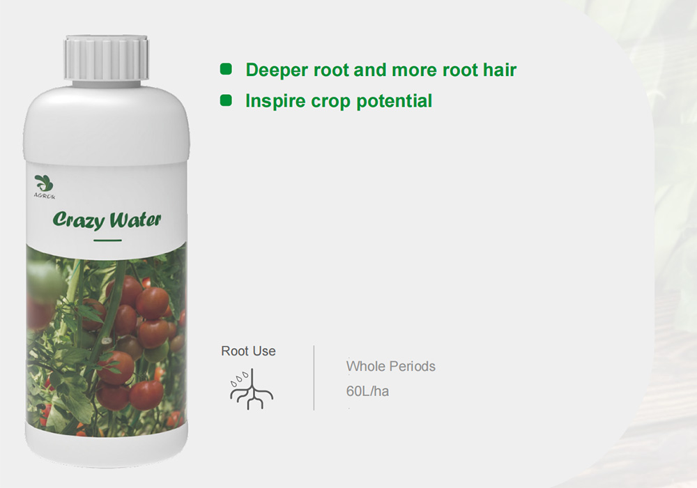 CRAZY WATER