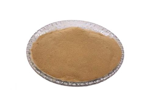 Protein&peptides (Péptidos proteicos)
