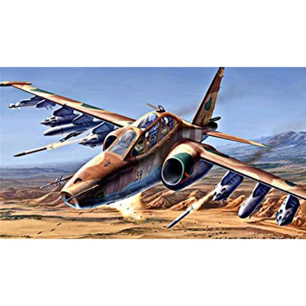 HY1019