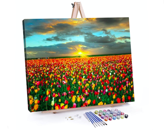 painting by numbers
