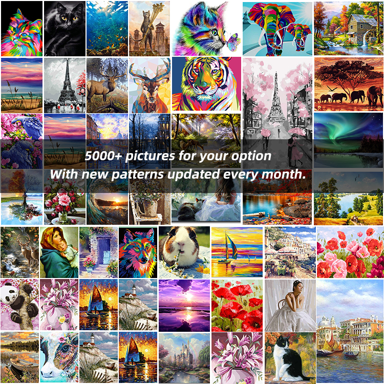 Custom Size/Pattern