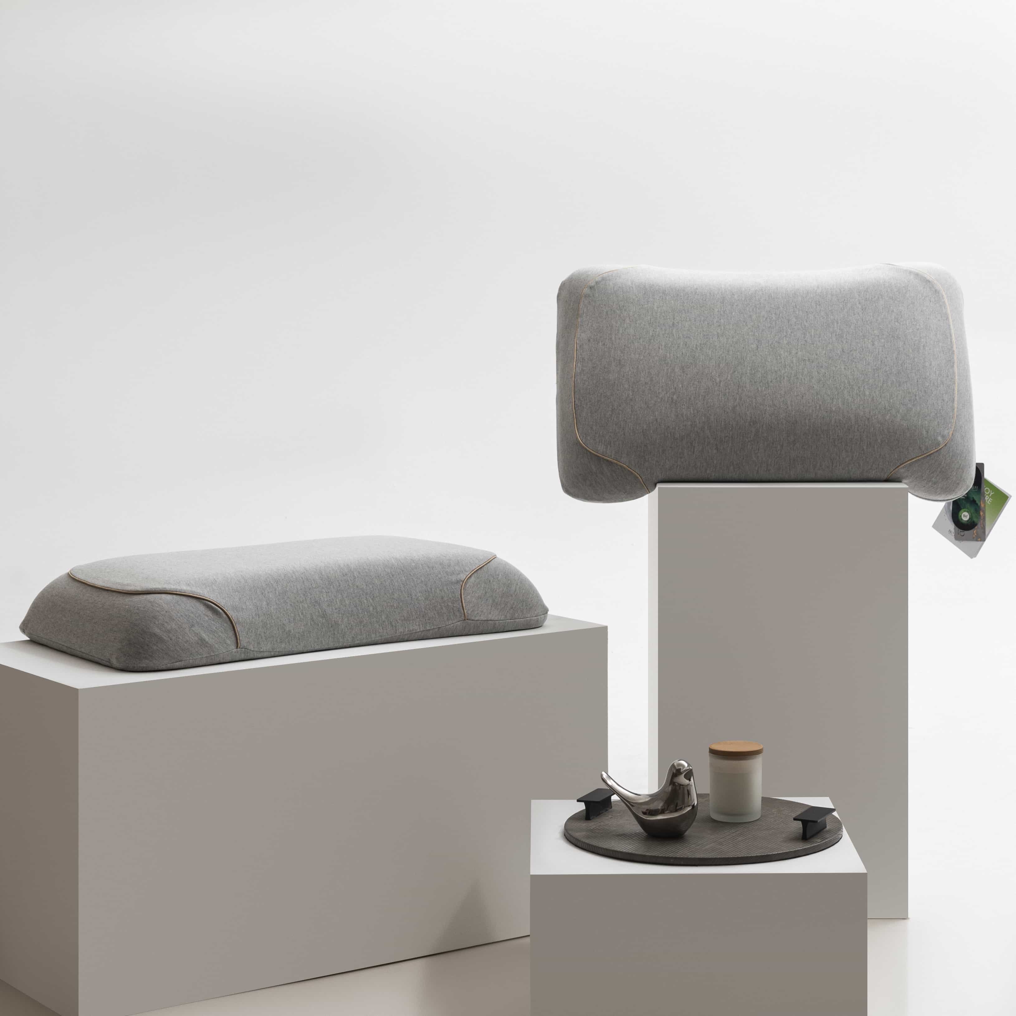 Lihaoju Bio-based Pillow