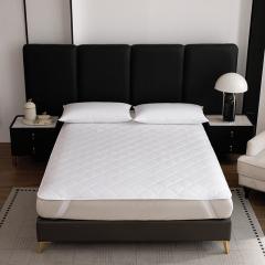 Hot Wholesale Quilted Mattress Pad With Elastic Band