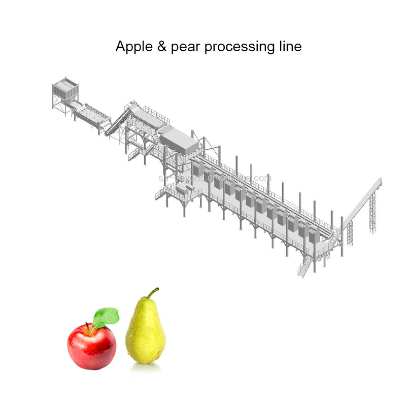 Línea de procesamiento de manzanas y peras