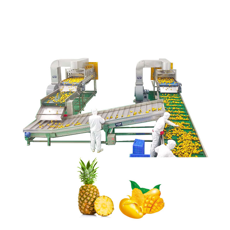 Mango & pineapple processing line