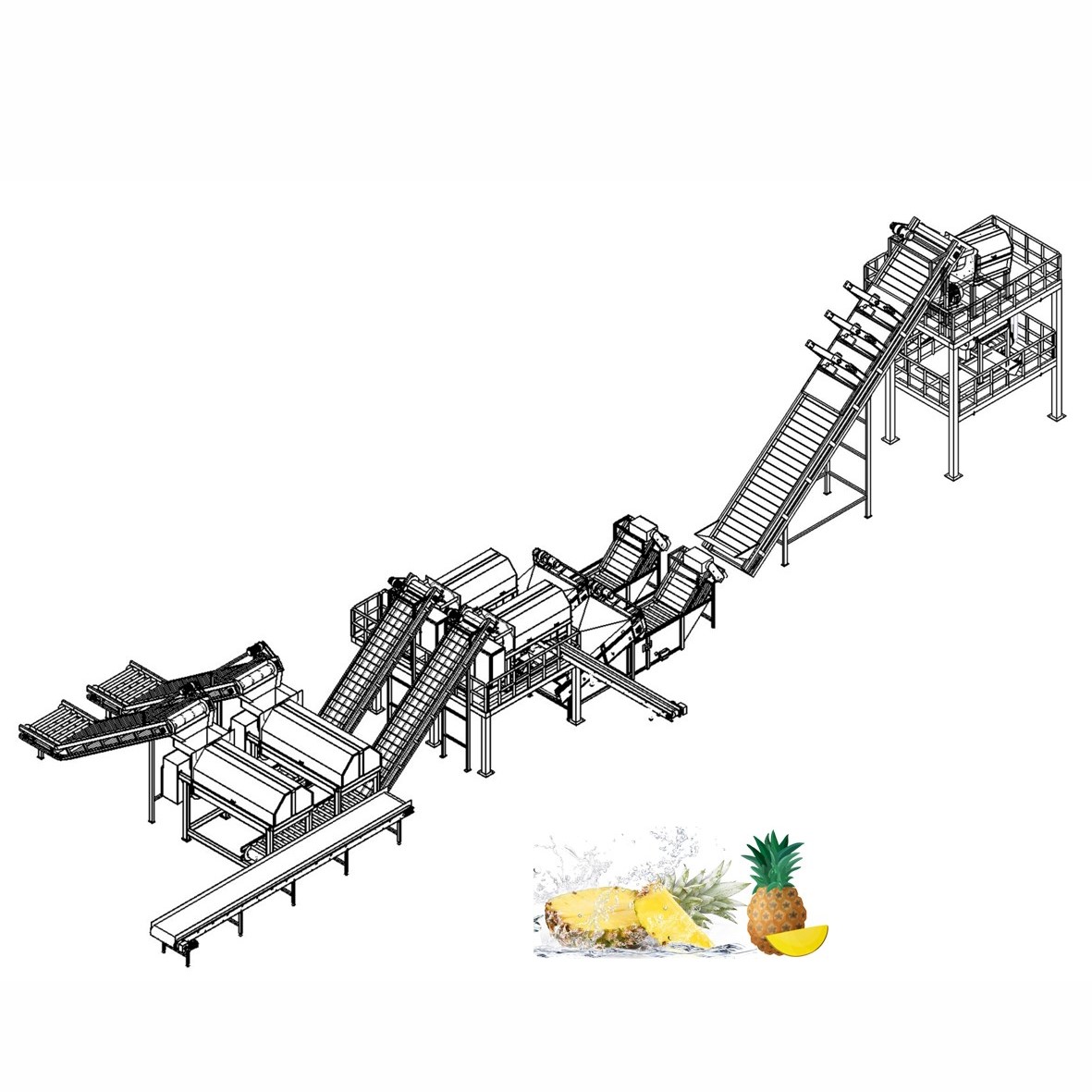 How to establish your own mango juice processing line?